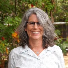 Ann Levinsohn