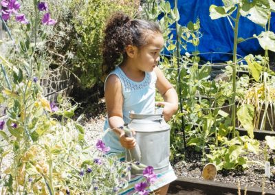 Early Childhood Campus Certified Wildlife Habitat