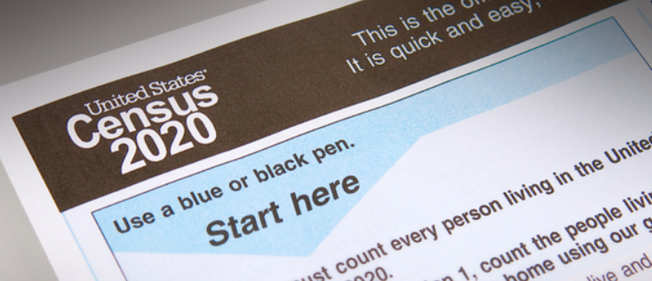 The Census and Democracy