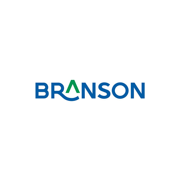 logo branson school